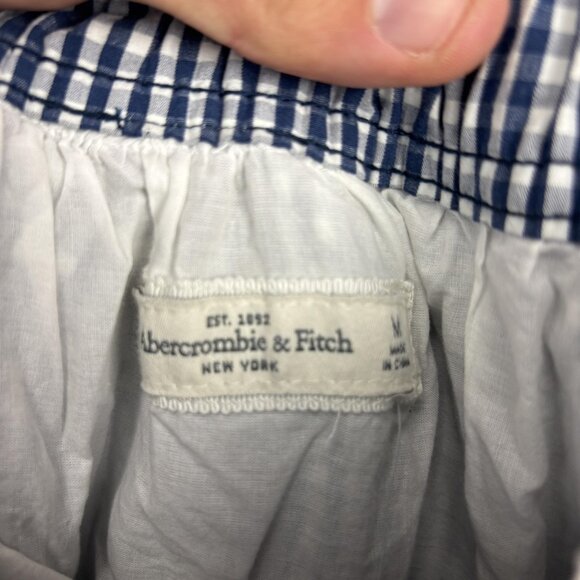 Abercrombie & Fitch Skirt Womens Medium Blue White Gingham Pleated Lined Belted - Picture 3 of 11